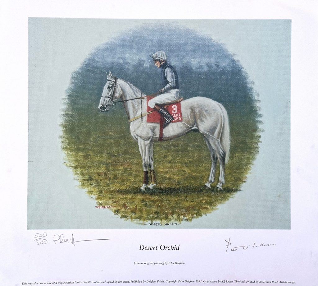 Desert Orchid