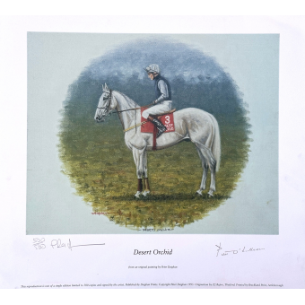 Desert Orchid