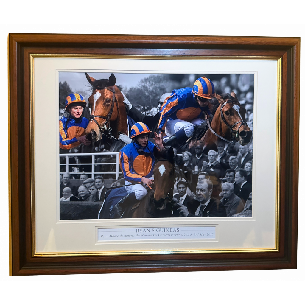 Ryan's Guineas